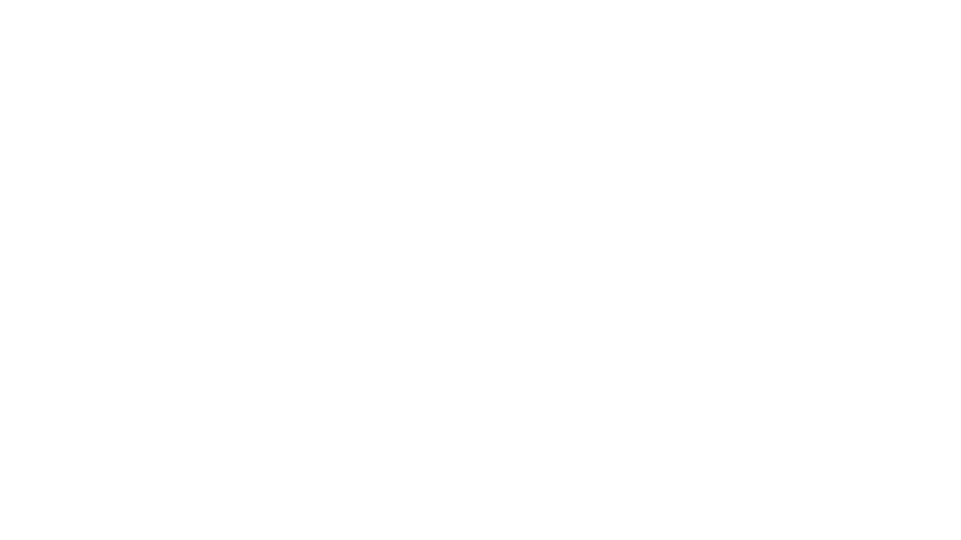 Burt’s Bees client logo