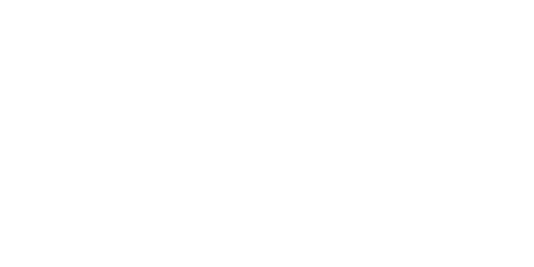 The Scouting Association